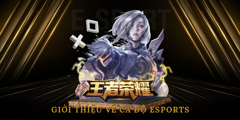 Giới Thiệu Về Cá Độ Esports